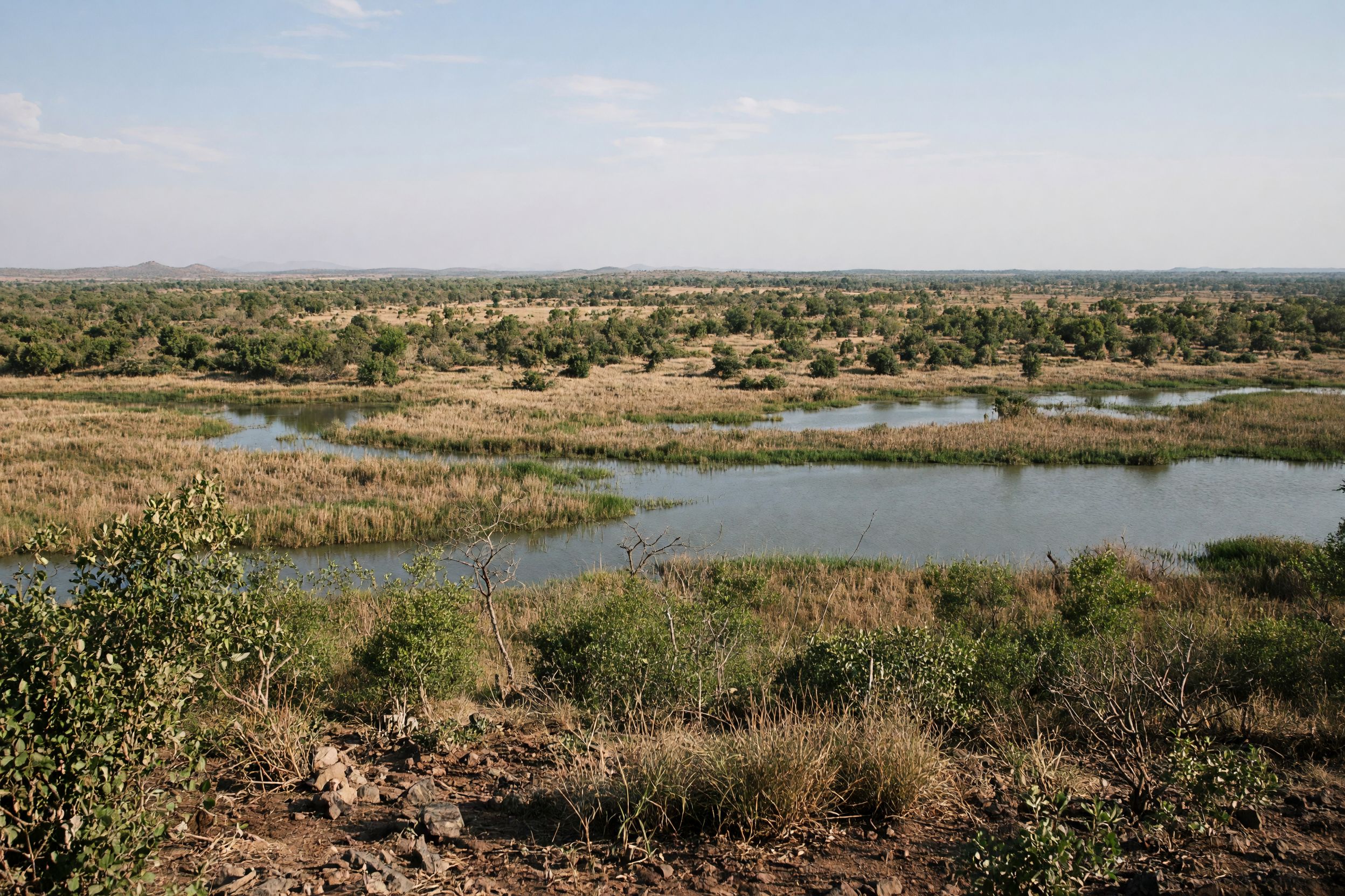 Ng 16 Selinda Reserve