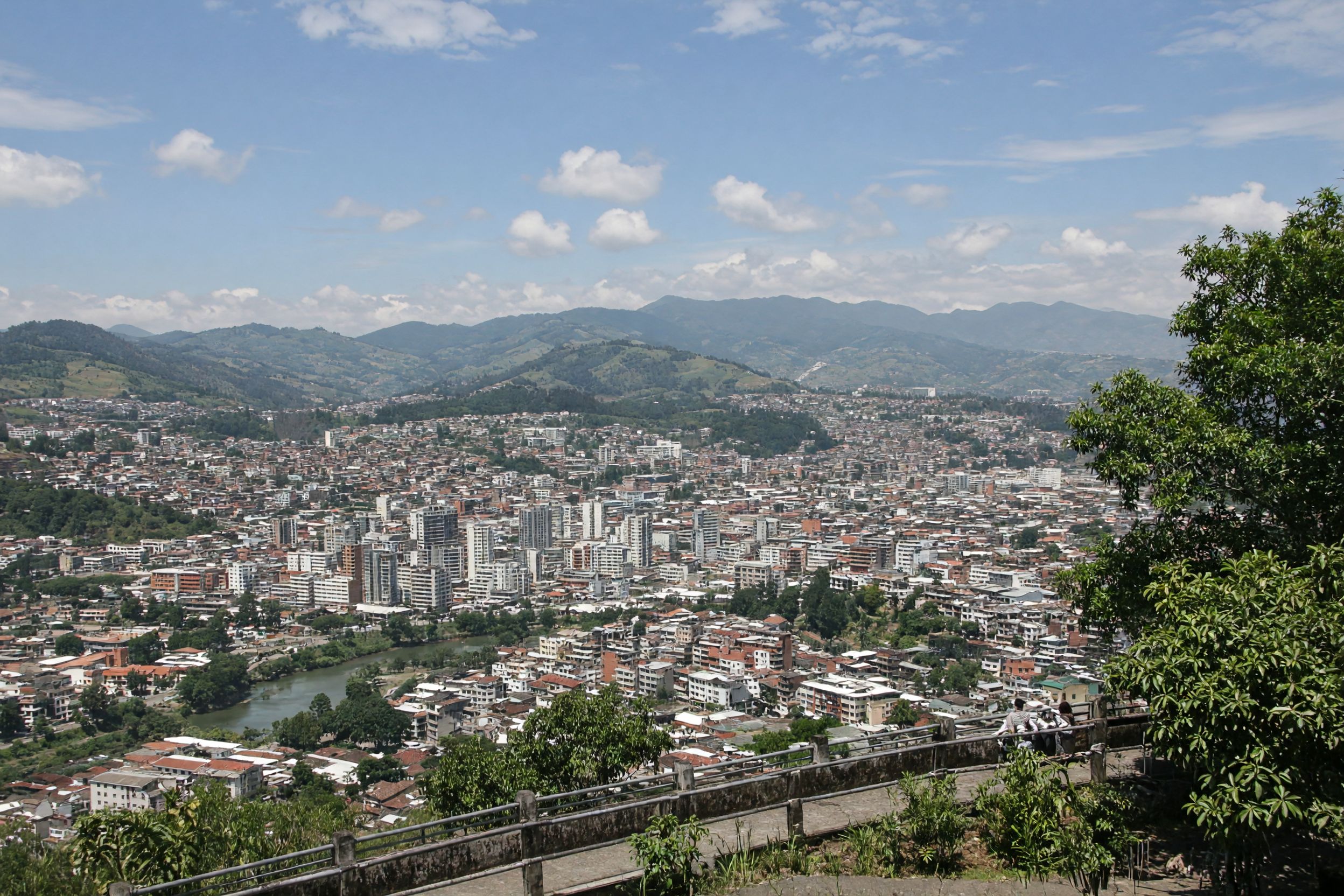 Pereira