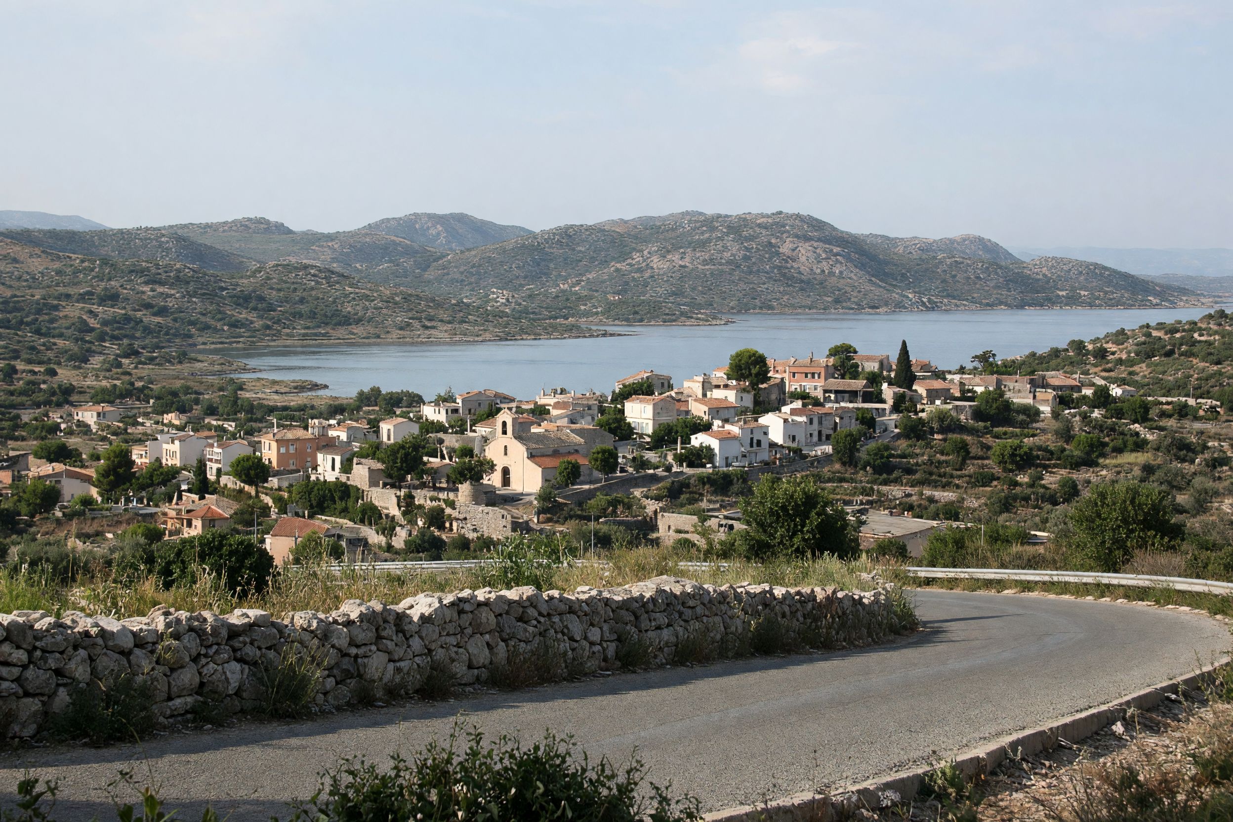 Figari