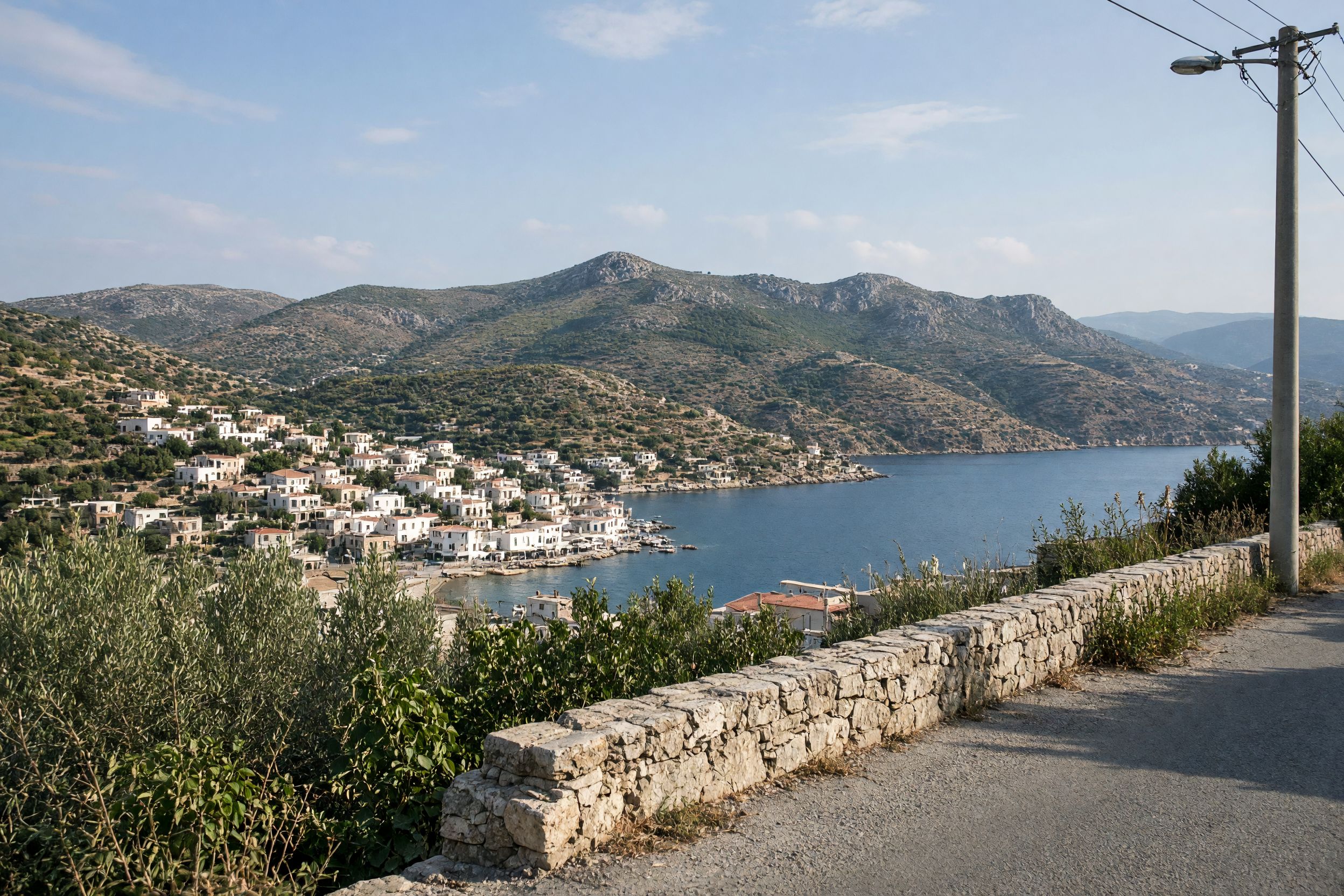 Ligoneri