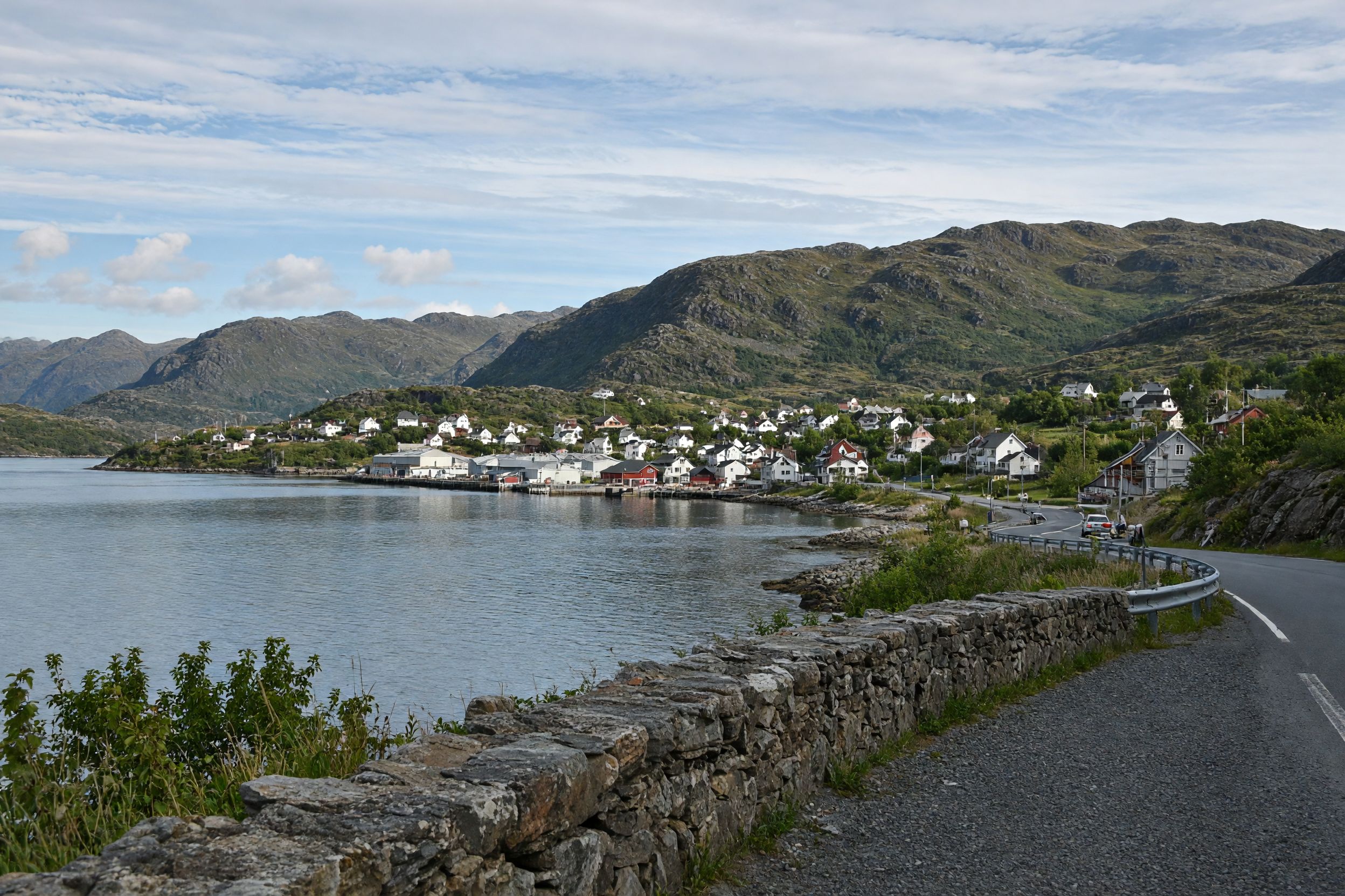 Langhaugane