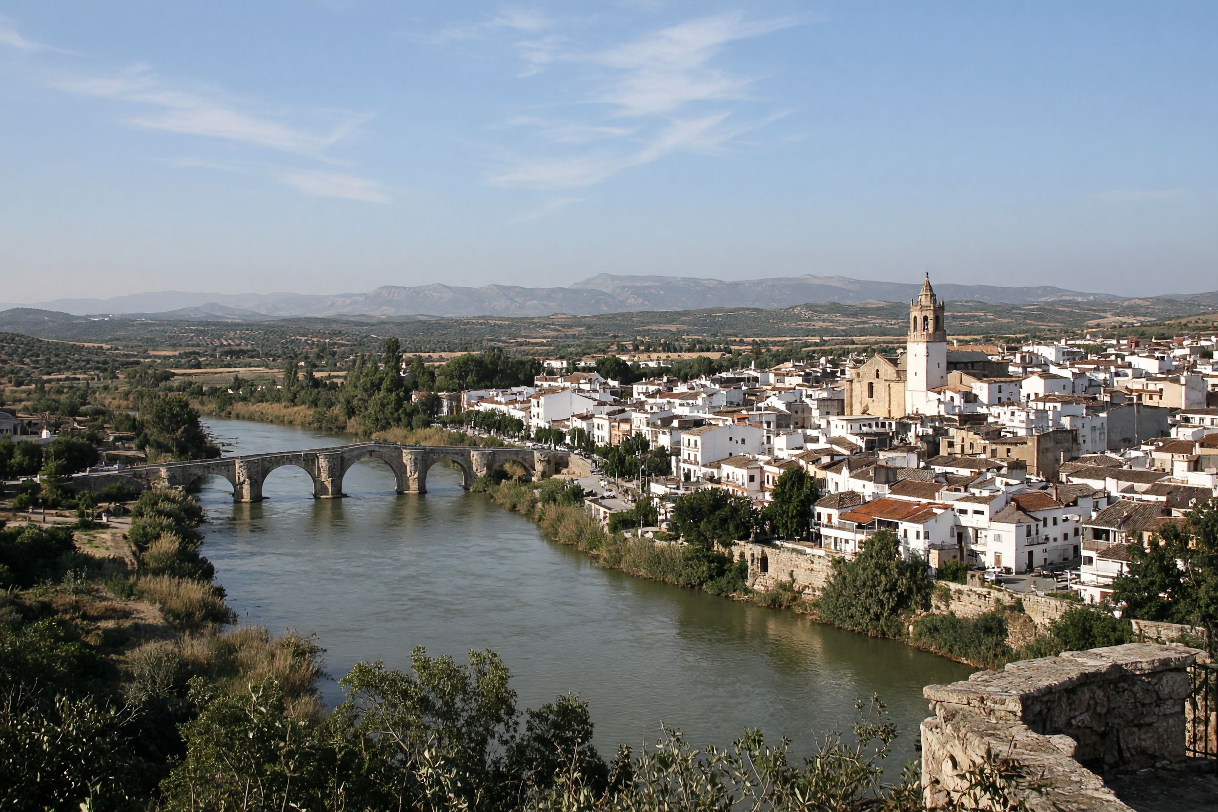 Palma Del Rio