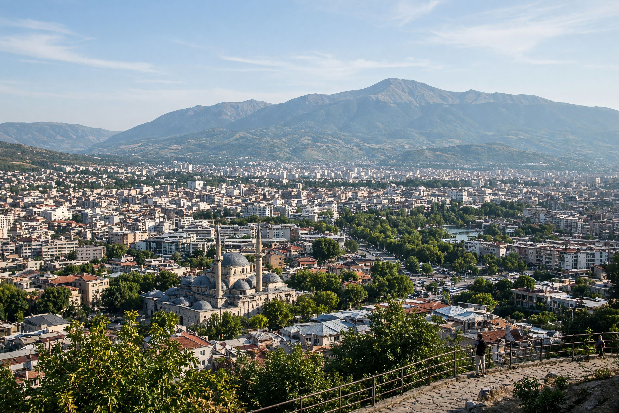 Bursa