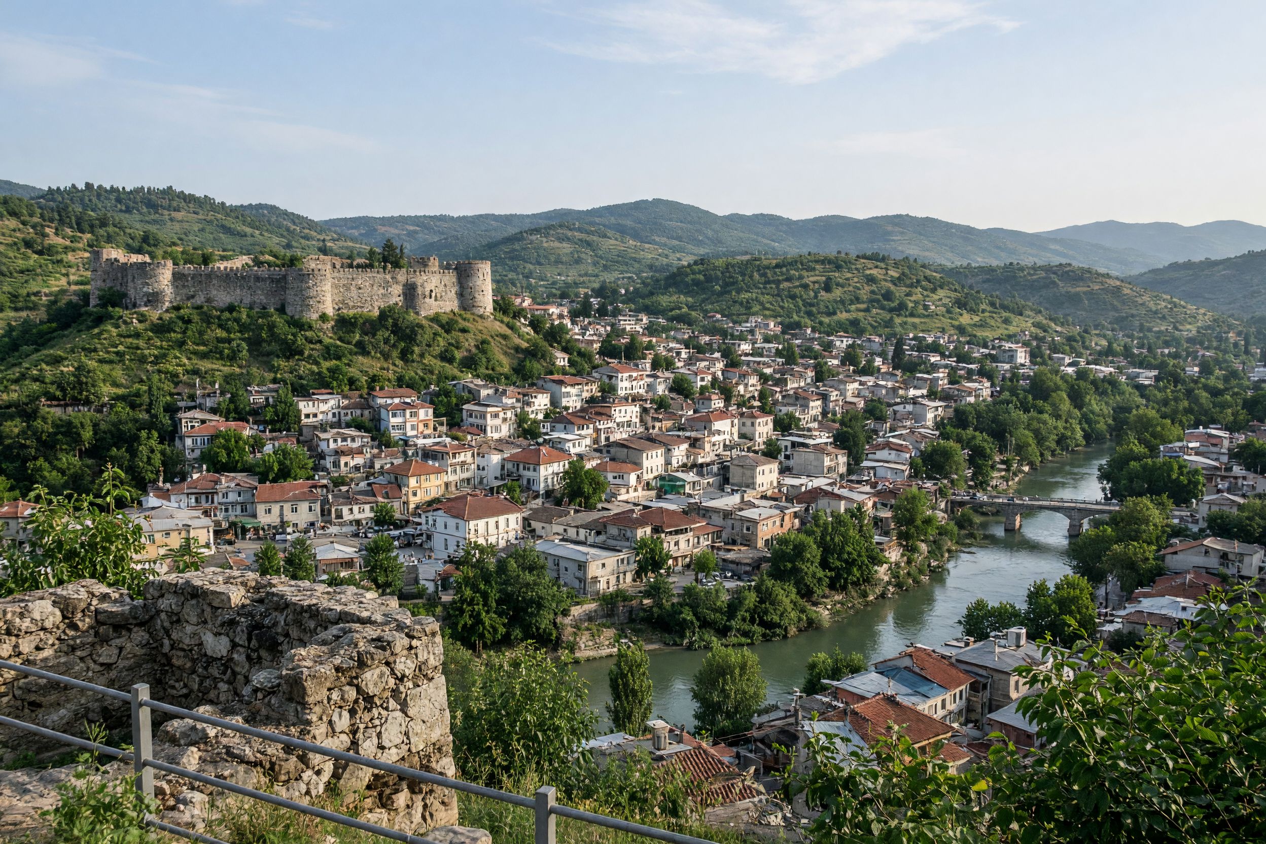 Niksar