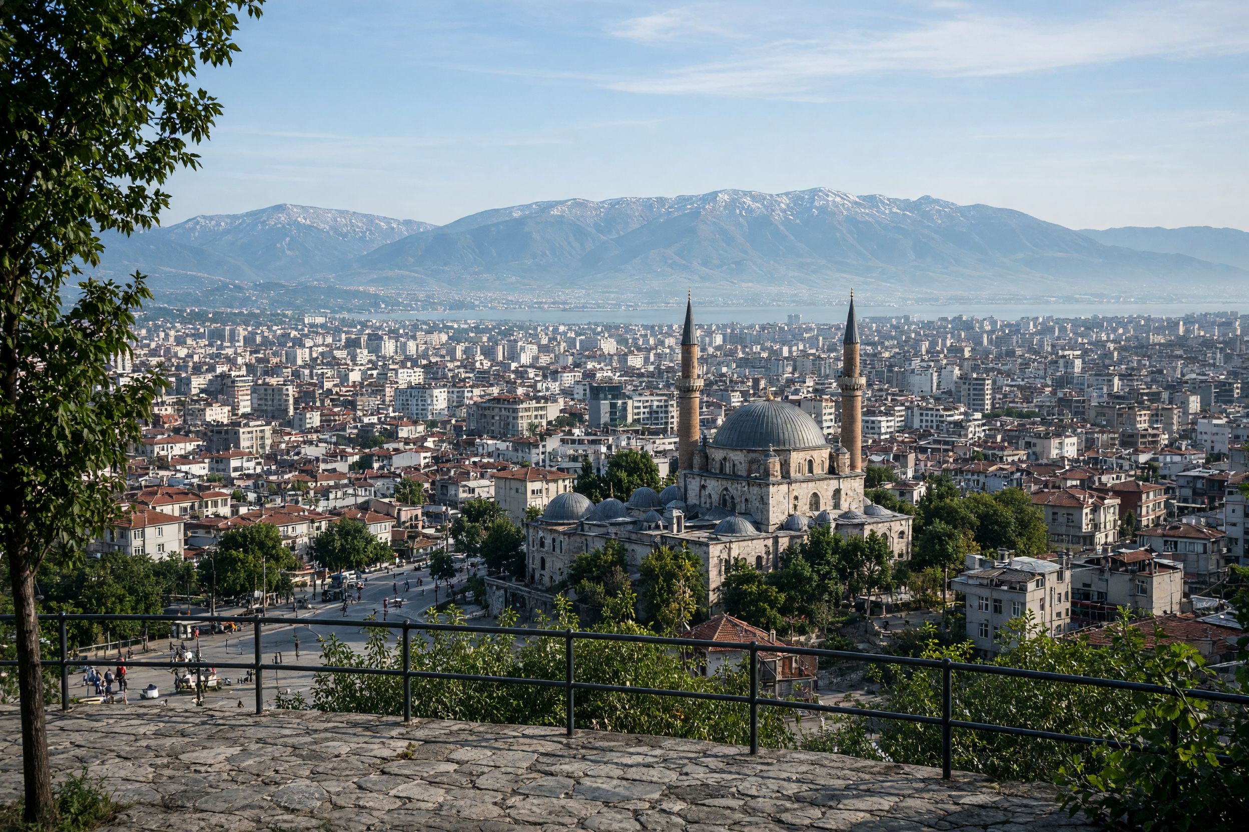 Bursa