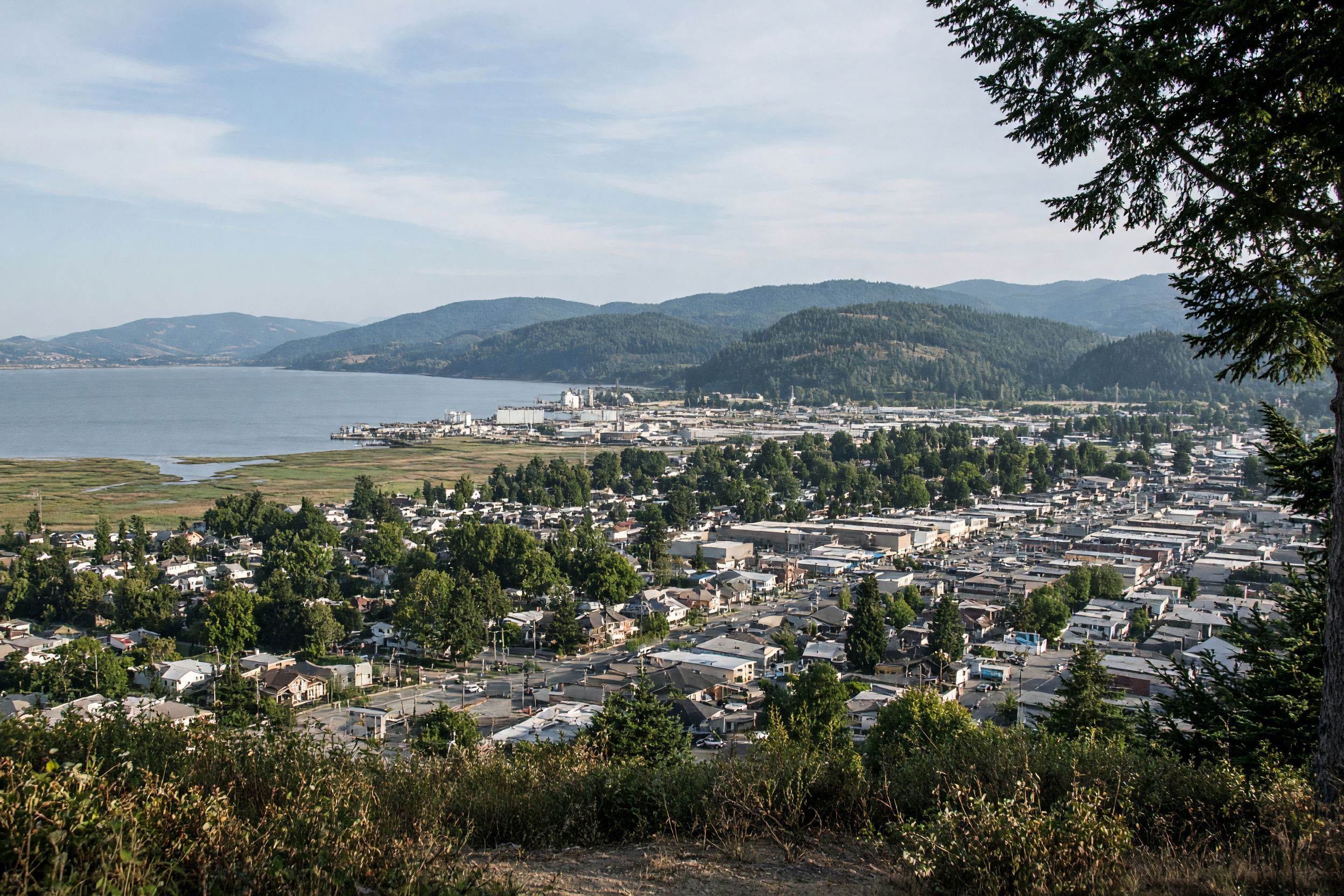 Arcata
